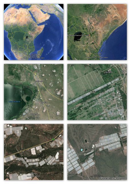 imagini satelit cu sere Kenya